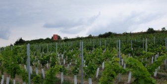 Solaris na Turbovicích