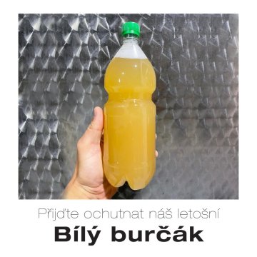 Burčák 2026