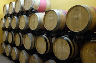 Zrání Pinot Noir v barrique